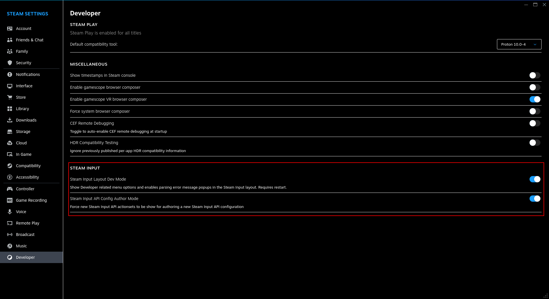 Steam Developer options